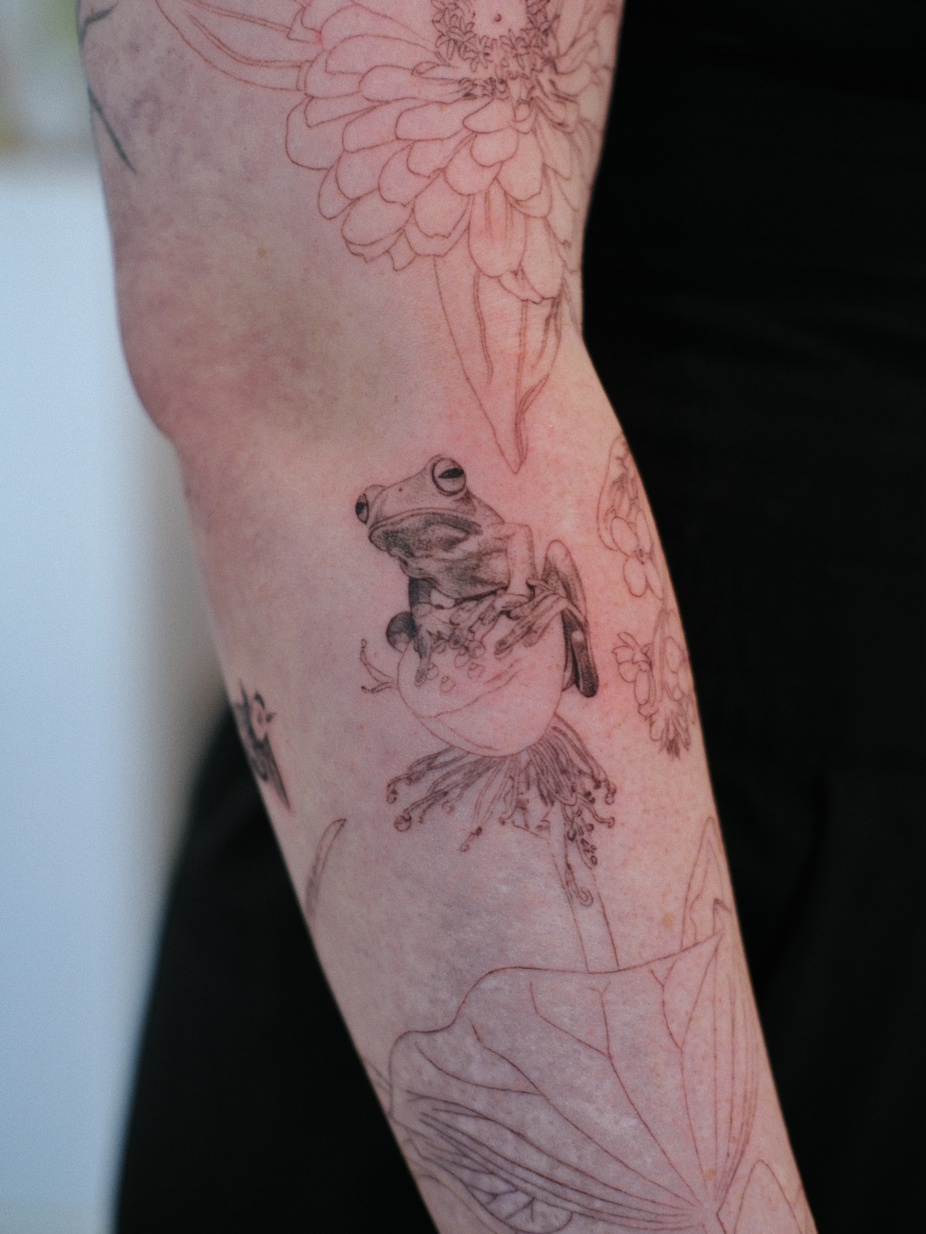 Frog and lotus realism tattoo on the forearm by Jiemin Lin
