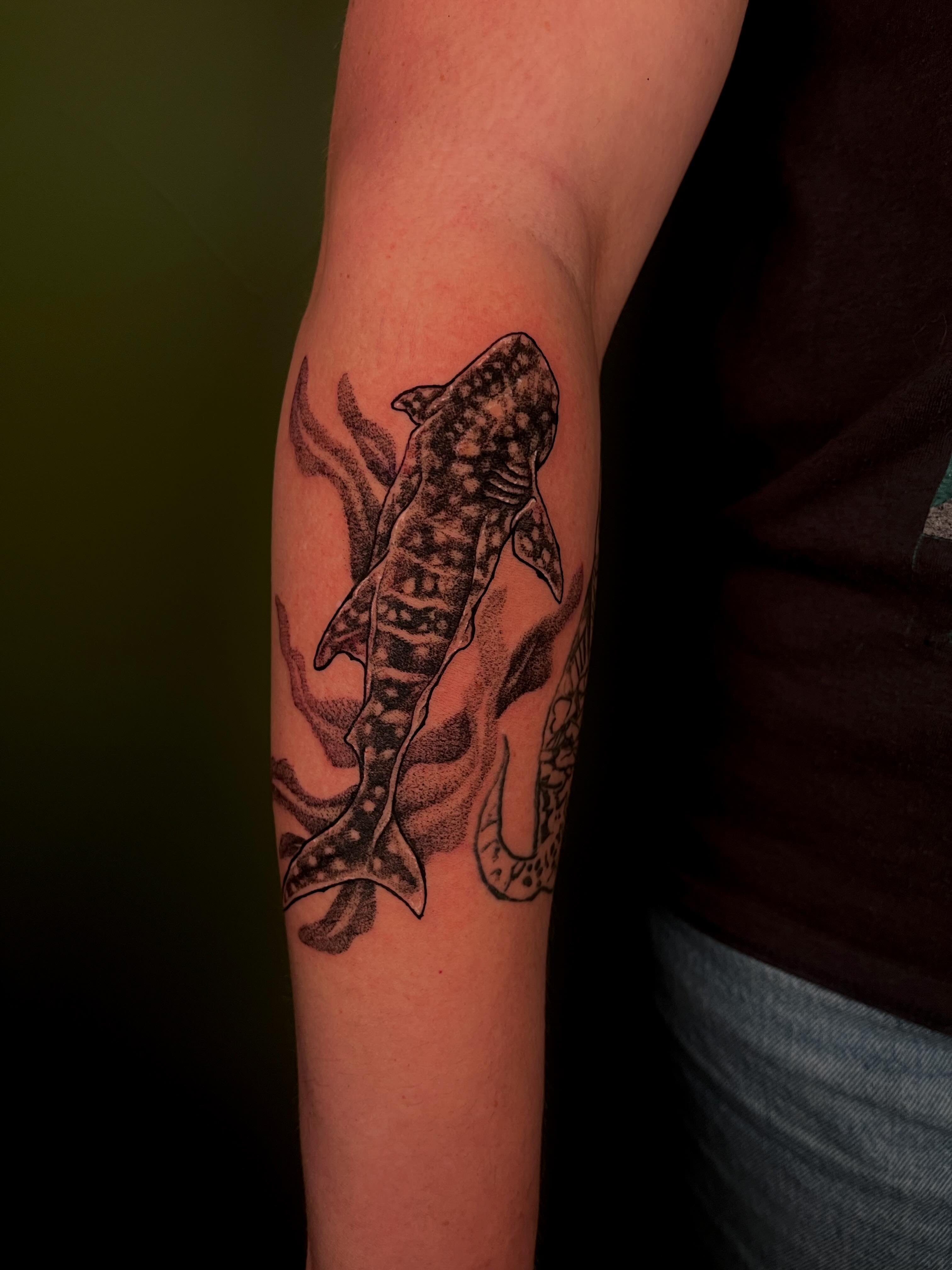 Shark dotwork tattoo on the forearm by Destiny Tolman