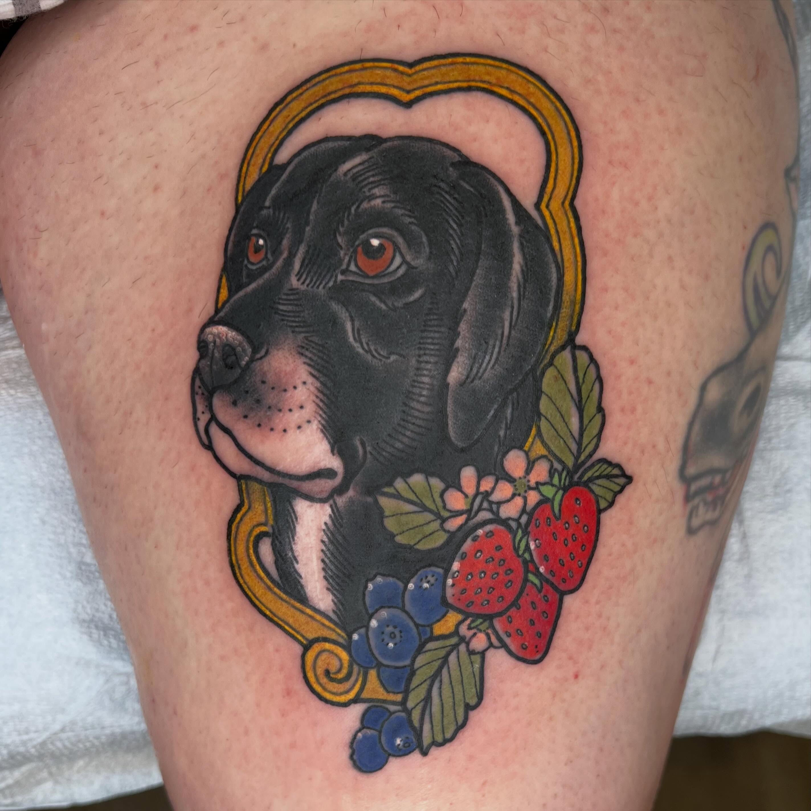 Dog portrait with strawberries and blueberries realism tattoo on the thigh by Troy David Souders