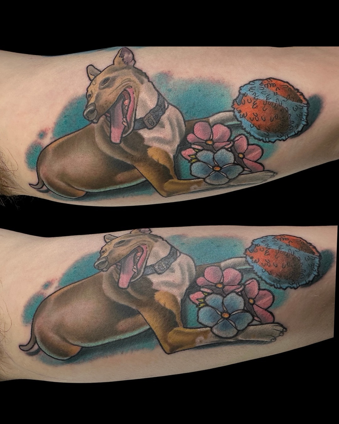 Dog with ball realism tattoo on the forearm by Edward Knowles