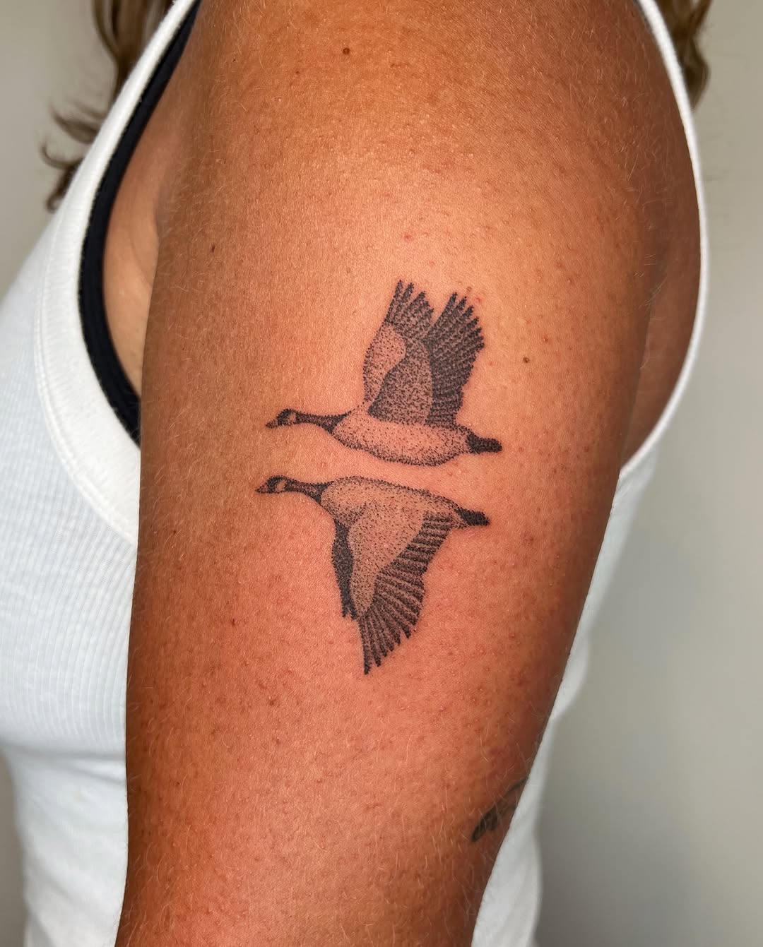 Tattoo by @thankyouforpoking — dotwork, black_and_grey