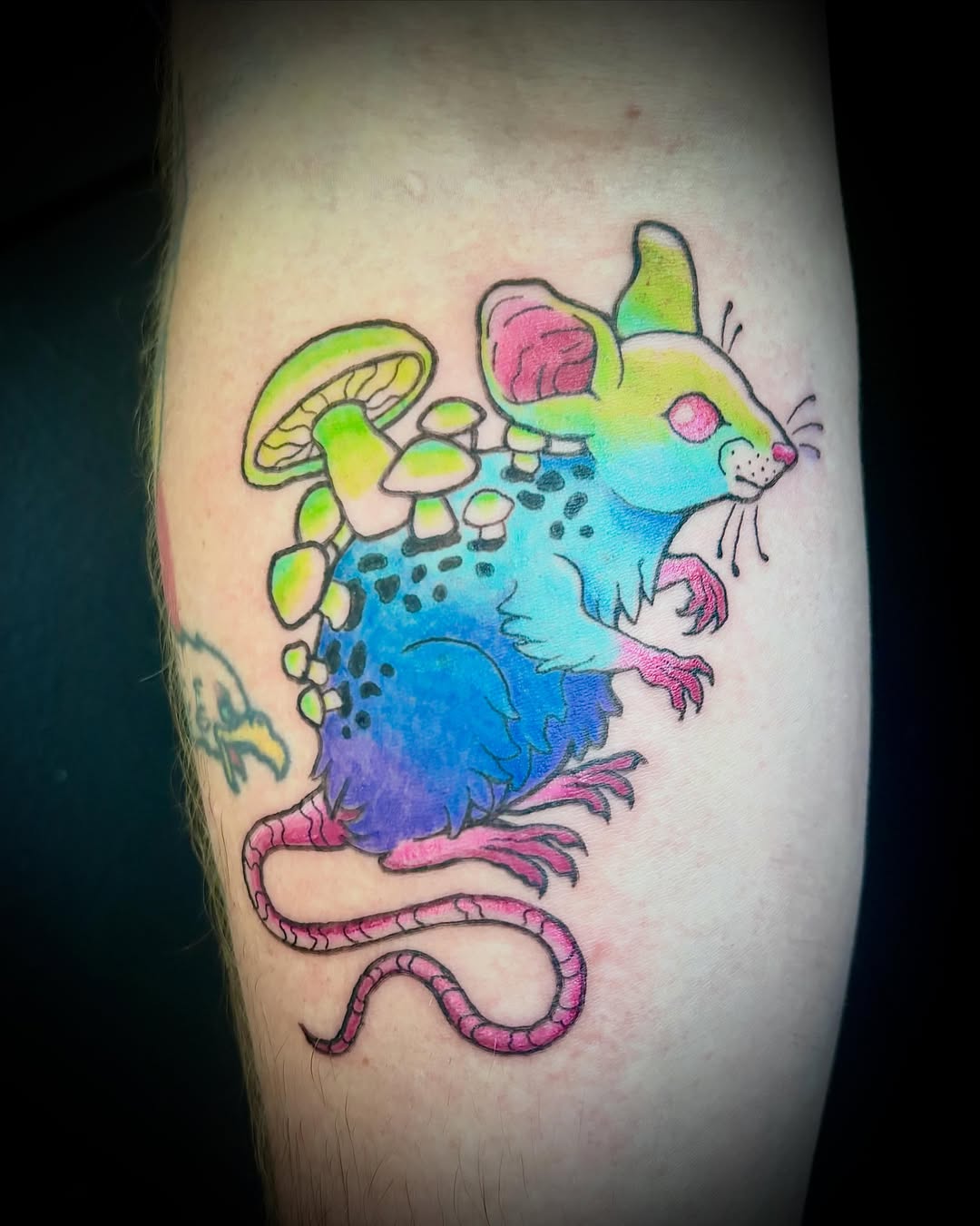 Mouse and mushrooms new school tattoo on the forearm by Abby Ruok, Midvale, Utah