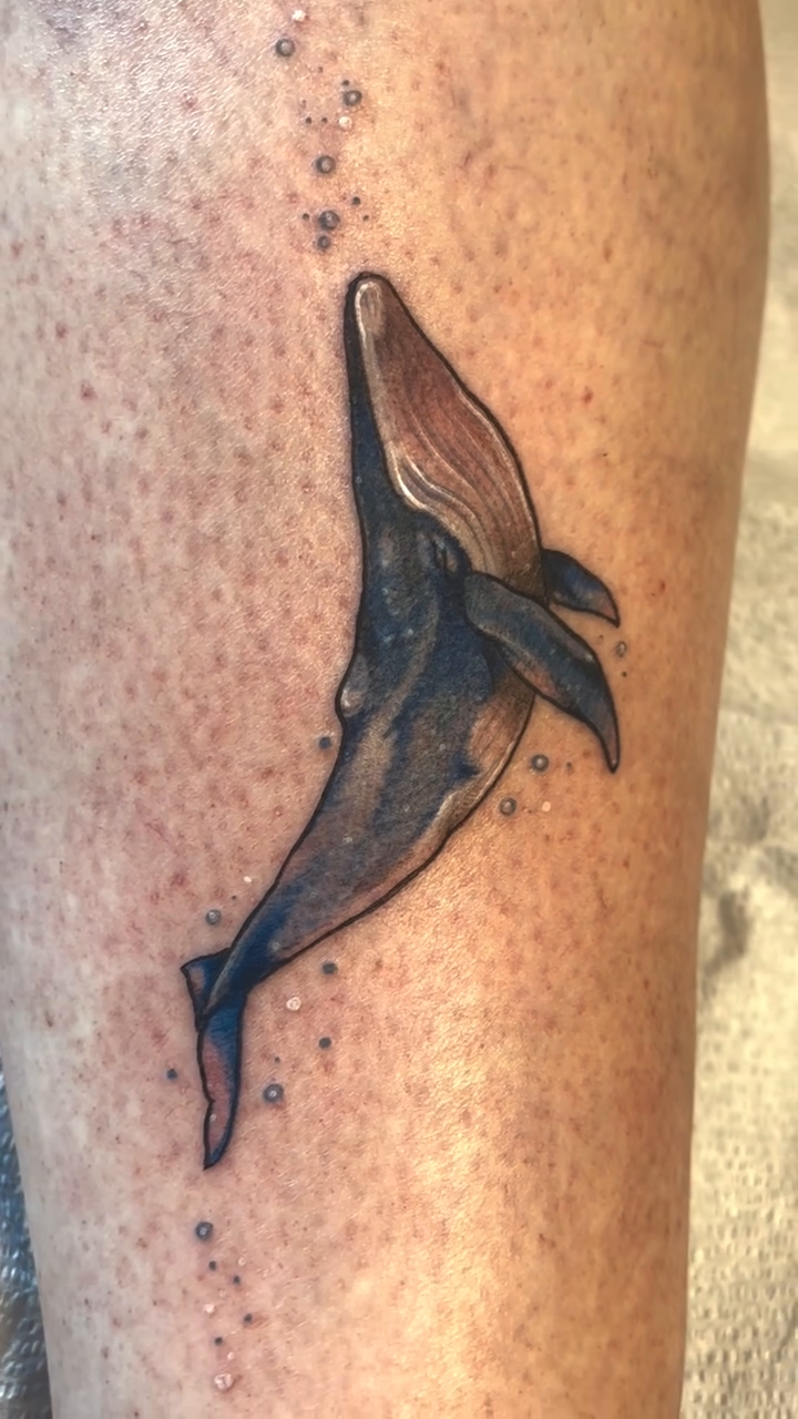 Humpback whale breaching fine line tattoo on the forearm by Cricket Elijah Cervidae
