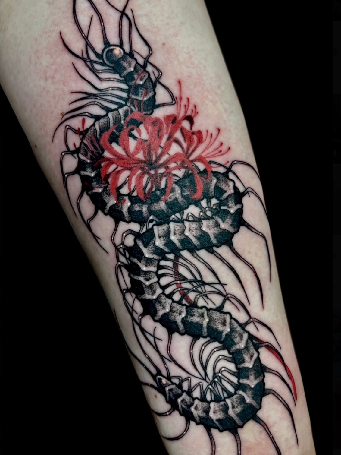 Tattoo by @katscratchtattooss — black_and_grey, realism