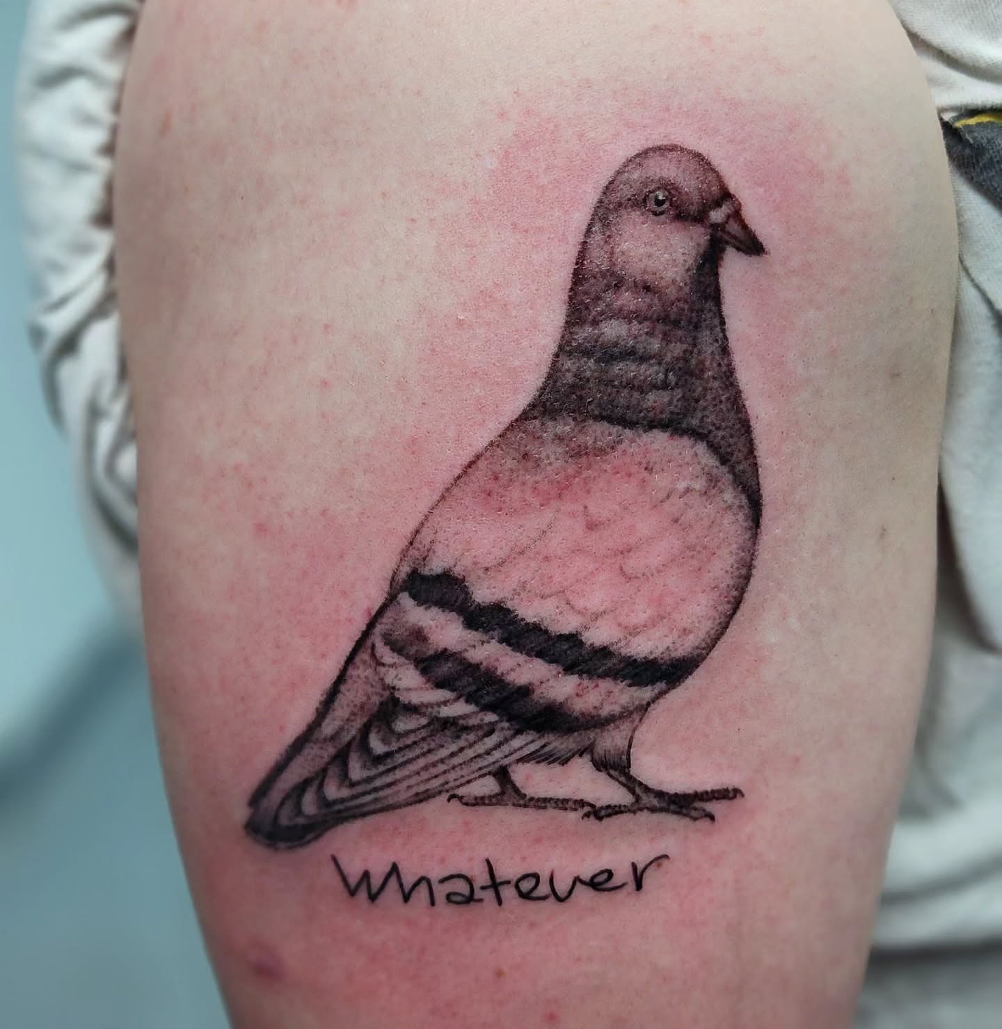 Pigeon realism tattoo on the thigh by Katie Palmer