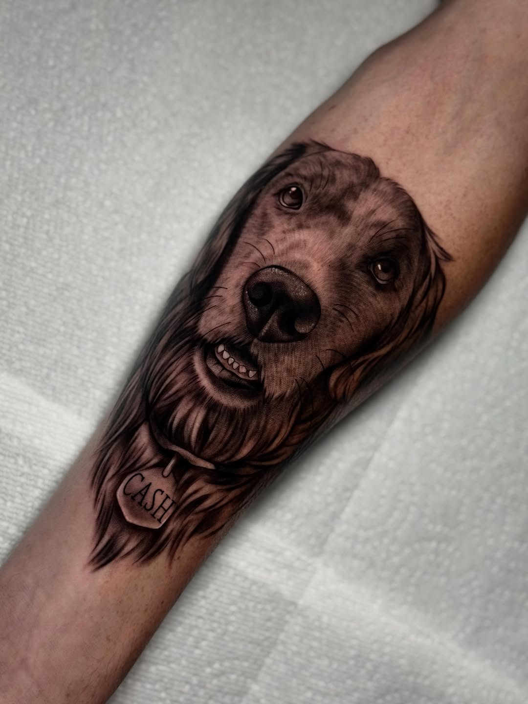 Dog portrait with name tag realism tattoo on the forearm by Bell Bolton