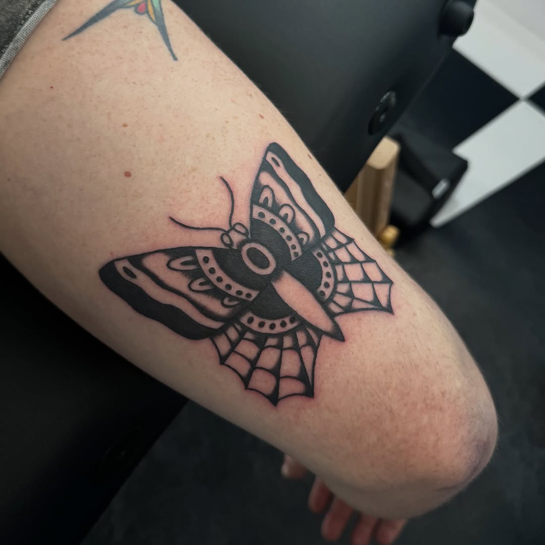 Moth with spiderweb fine line tattoo on the forearm by Béle Benard