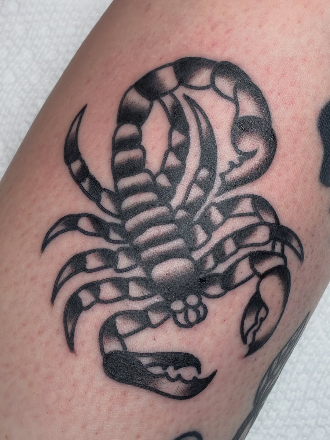 Scorpion realism tattoo on the forearm by Sav Robinson