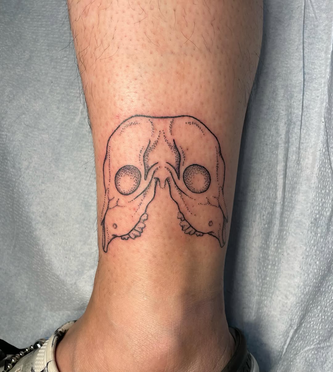 Tattoo by @mothmachine β dotwork, black_and_grey
