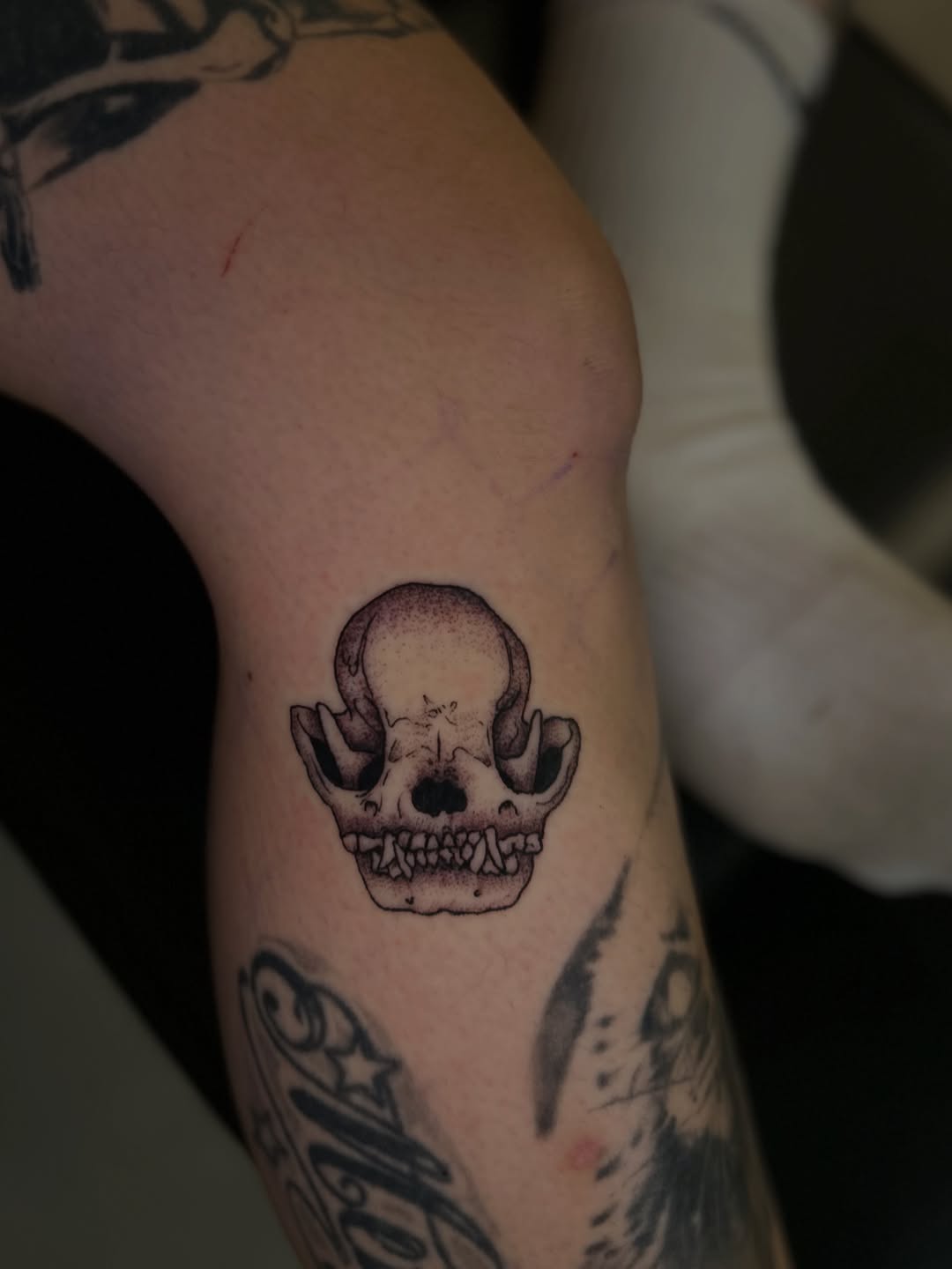 Tattoo by @torreyinks — black_and_grey, dotwork