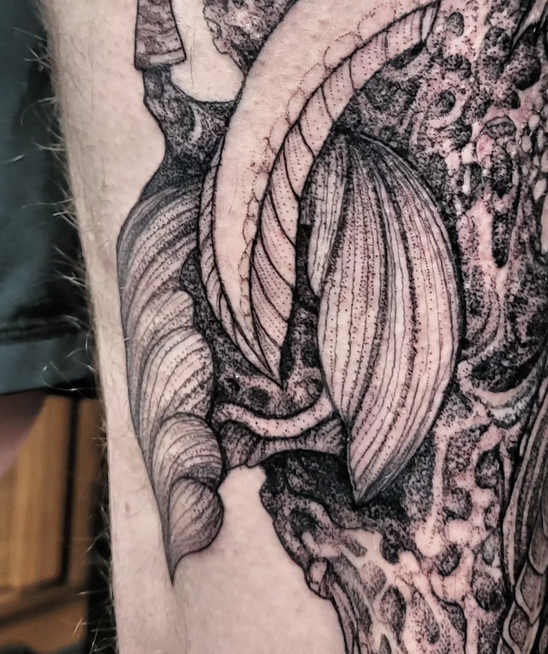 Tattoo by @el_tejon โ black_and_grey, dotwork