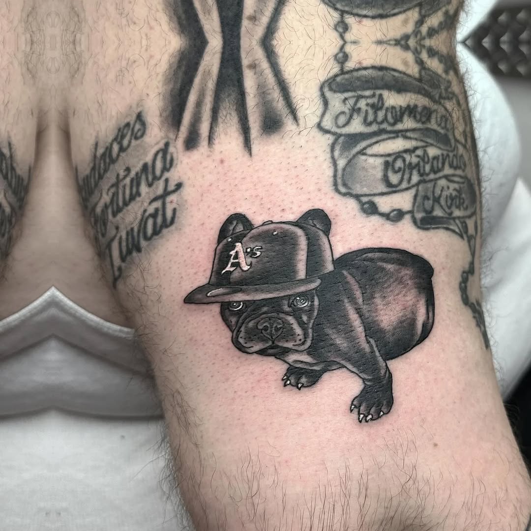 French bulldog wearing a baseball cap realism tattoo on the forearm by Jaleel Trantow