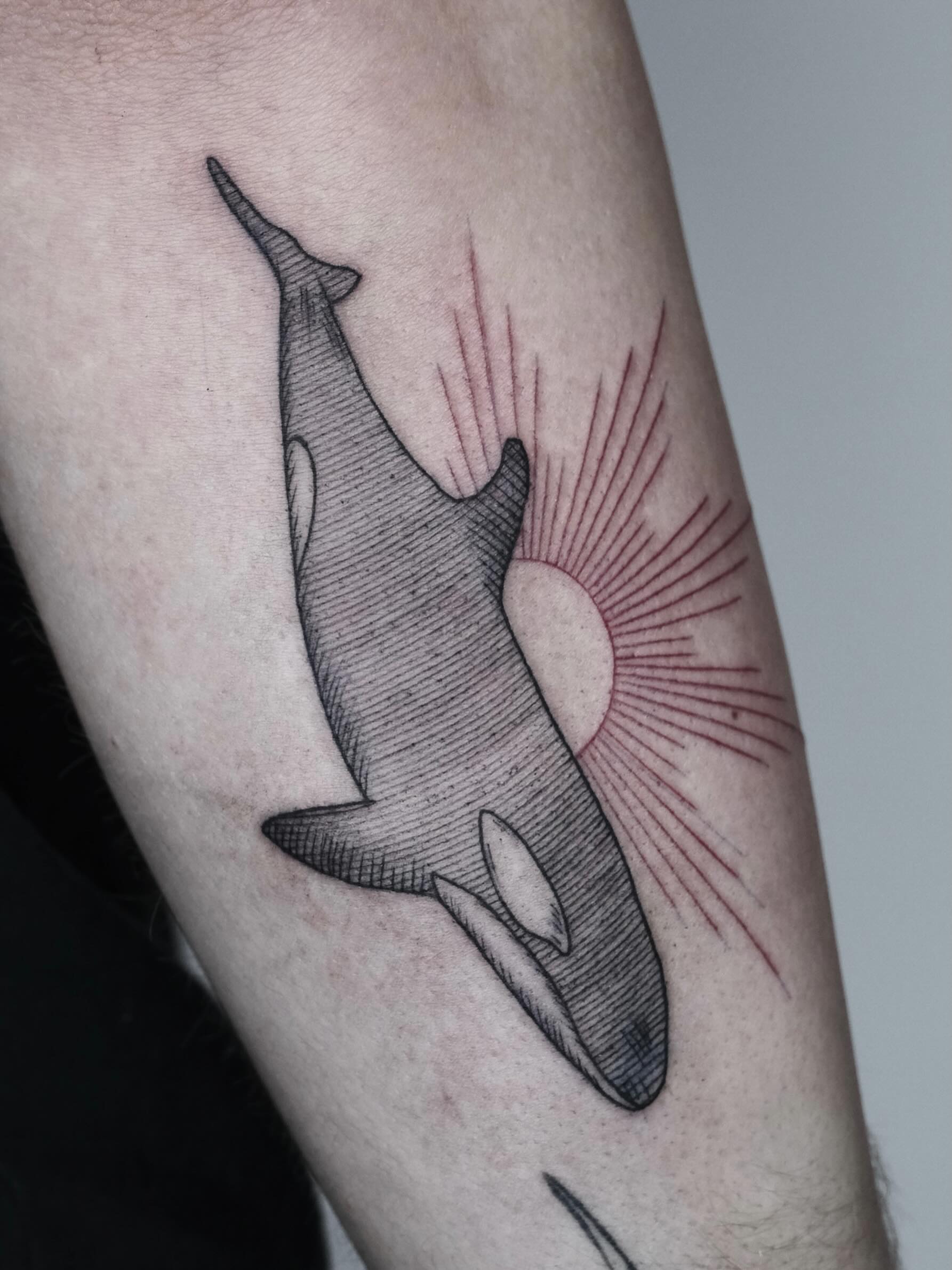 Orca whale black and grey tattoo on the forearm by Peter(피터)