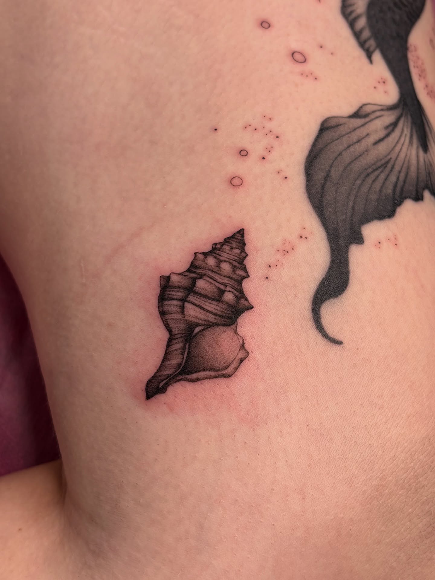 Tattoo by @silviieee — black_and_grey