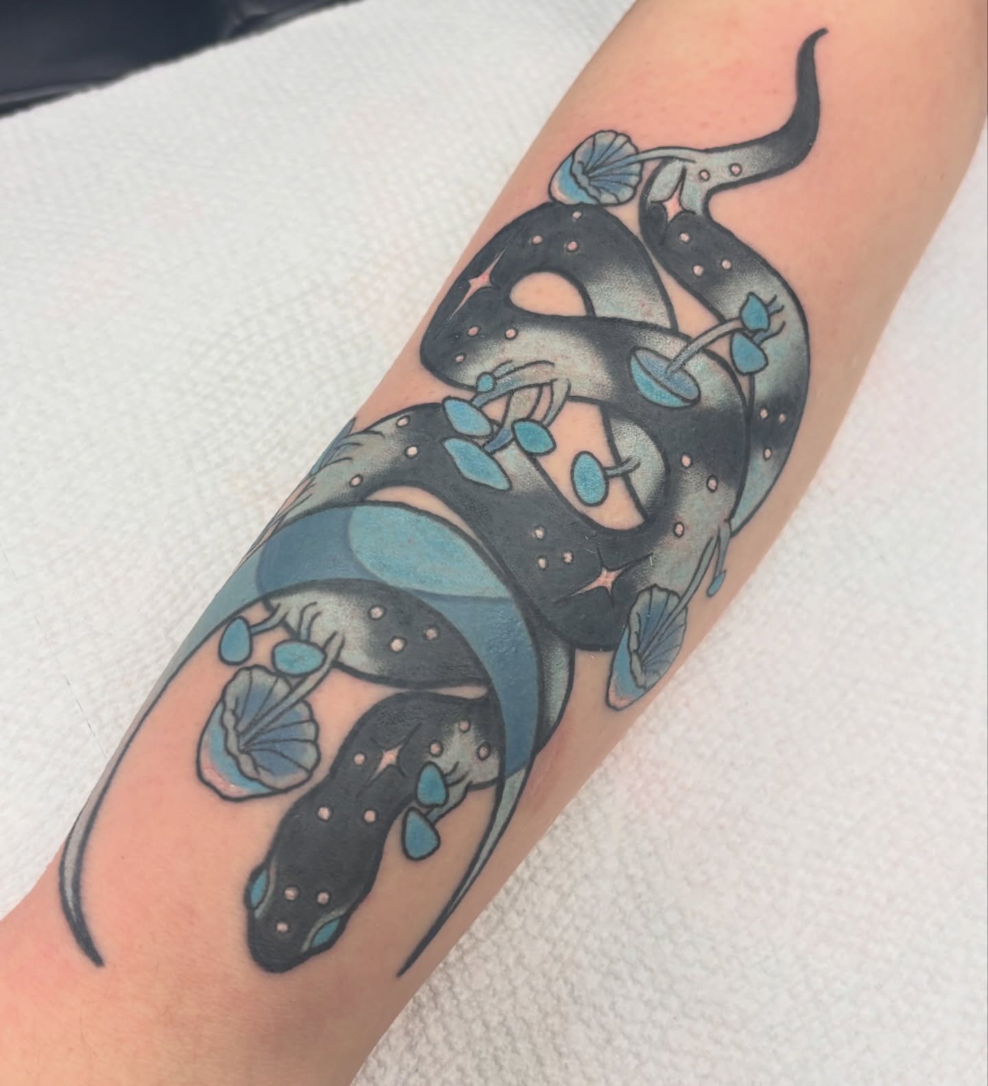 Tattoo by @chainsmokinmeg — american_traditional