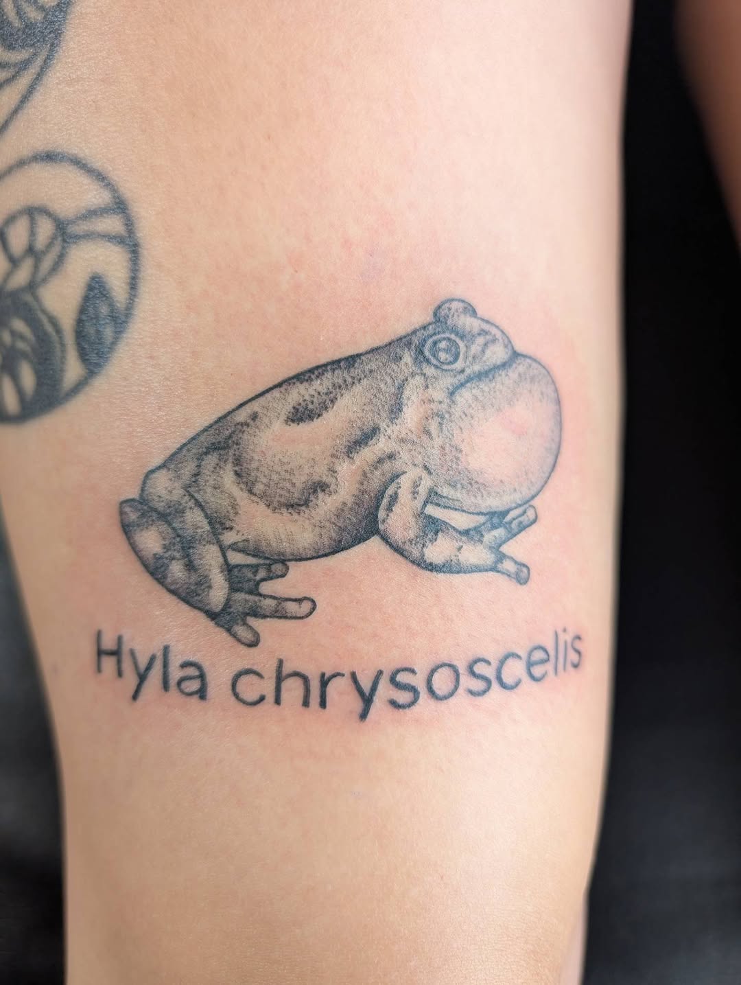 Tattoo by @hearthcreativestudios — realism, lettering_script
