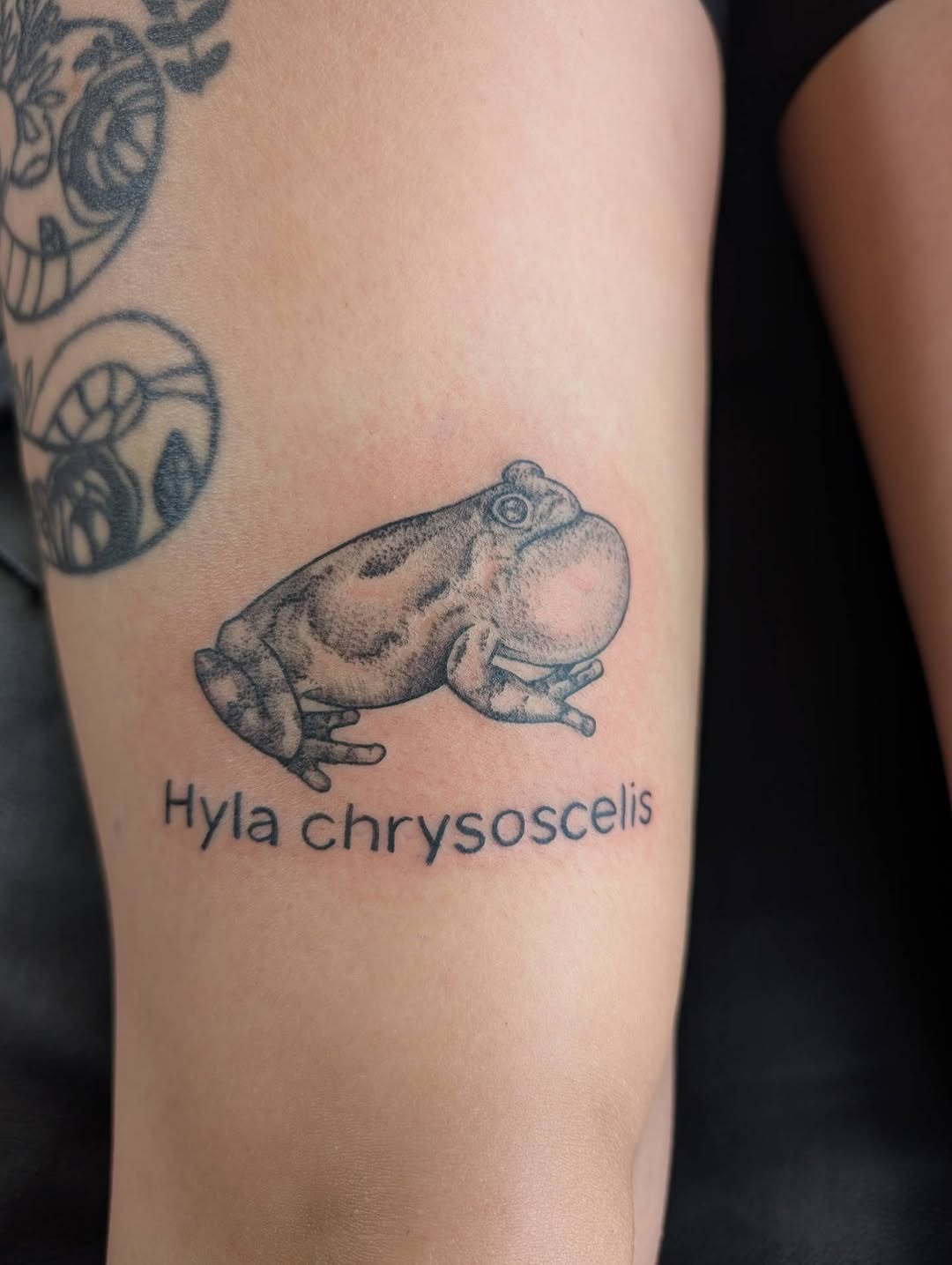 Tattoo by @hearthcreativestudios — black_and_grey, realism