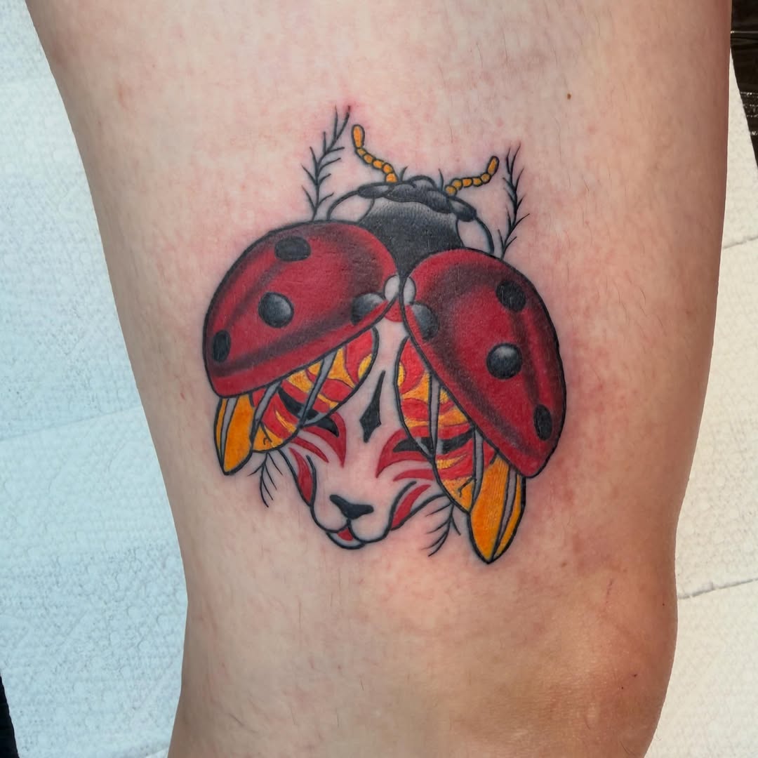 Tattoo by @evanvtattoos — american_traditional, neo_traditional