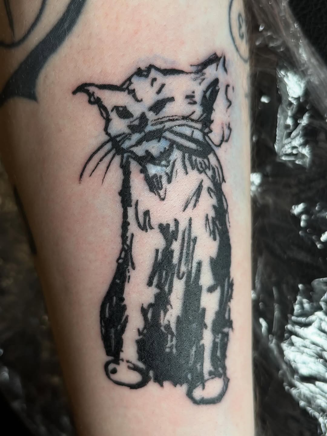 Cat realism tattoo on the forearm by Pres!