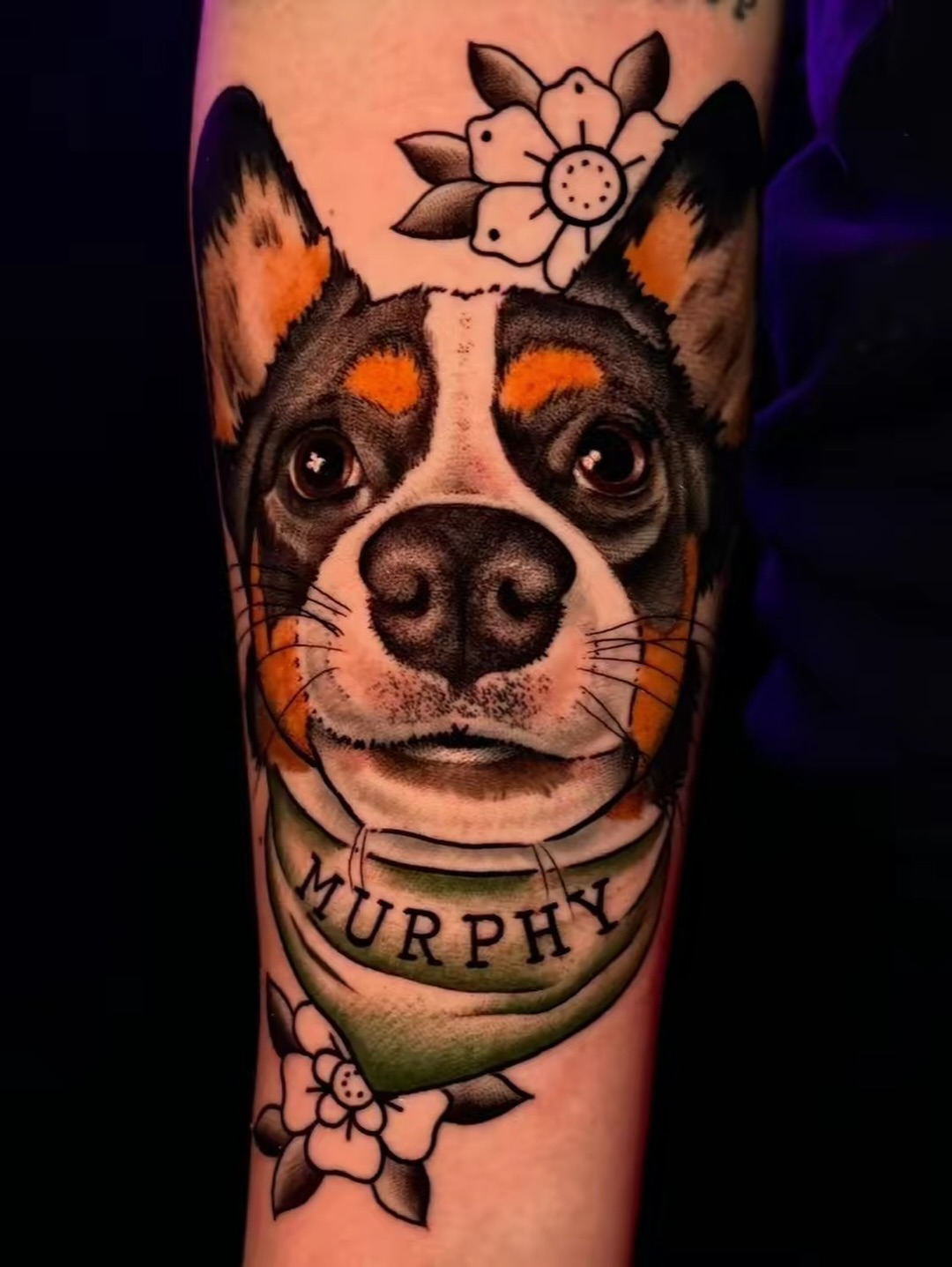 Dog portrait realism tattoo on the forearm by Arizona Tattoo Artist, Phoenix, Arizona
