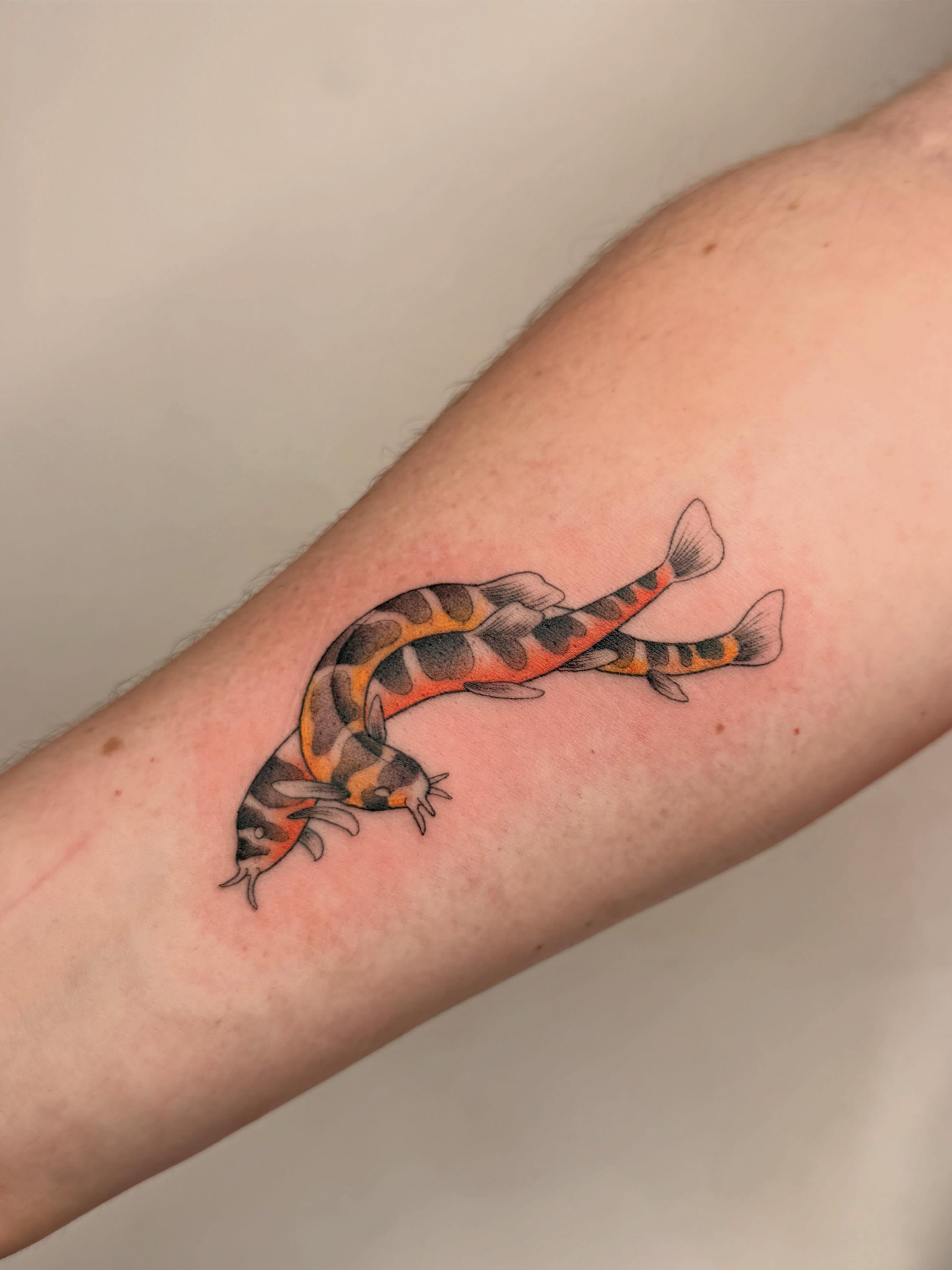 Tattoo by @gr3ywash — american_traditional