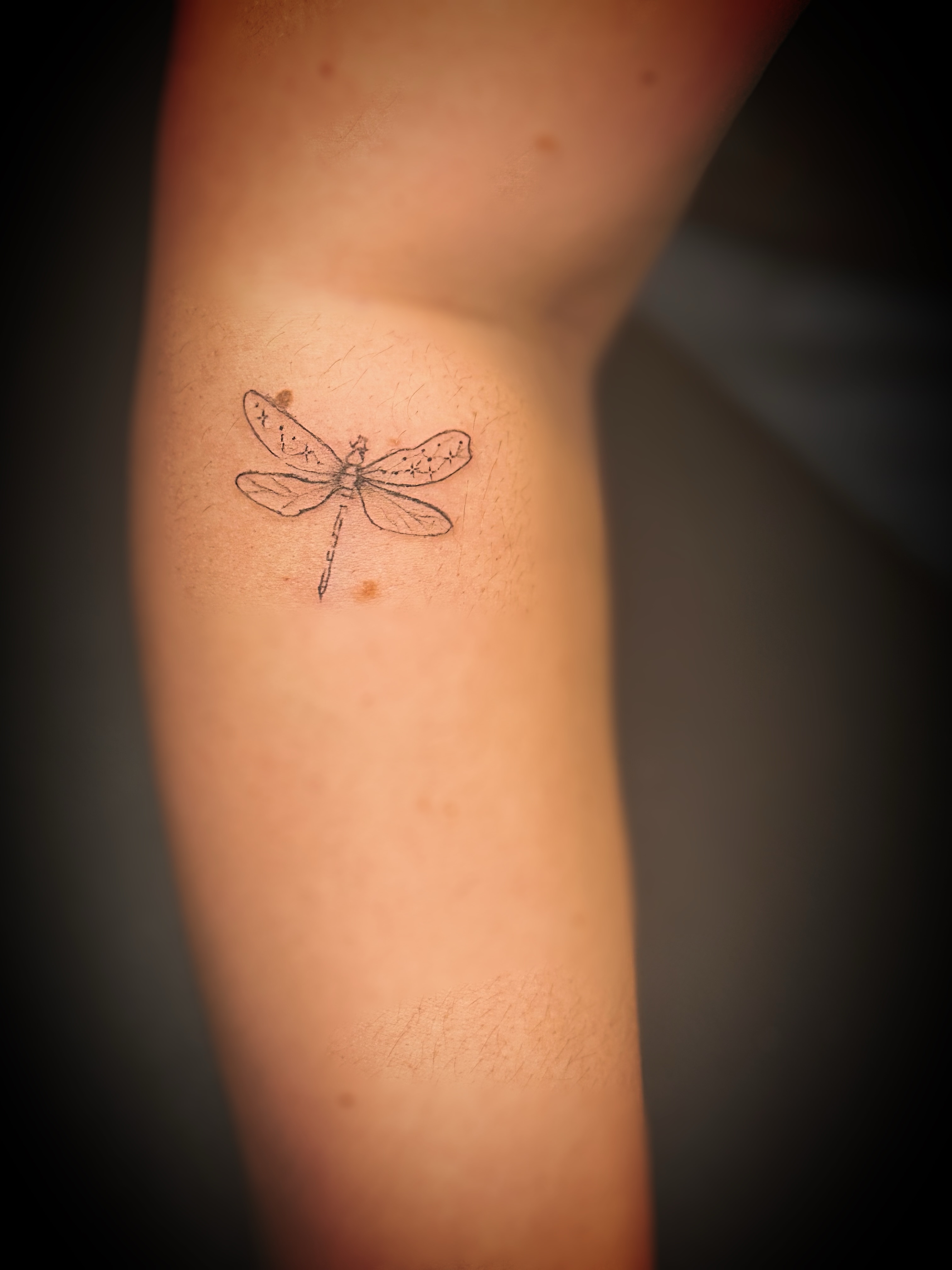 Dragonfly black and grey tattoo on the forearm by Meagan, Charlotte, North Carolina