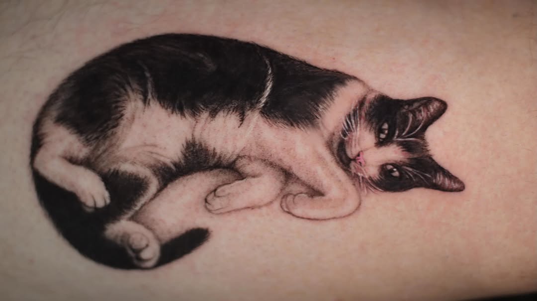 Cat realism tattoo on the forearm by 𝐒𝐡𝐞𝐫𝐥𝐥𝐲