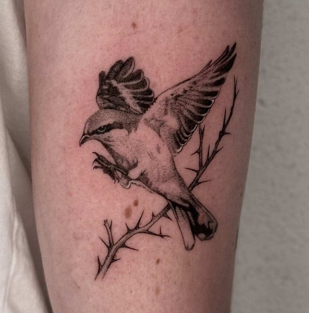 Tattoo by @pokiepookie — dotwork, realism