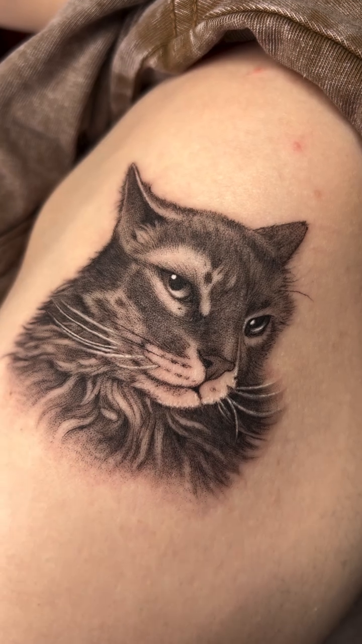 Cat portrait realism tattoo on the shoulder by ✶ H A N N A H K A y ✶