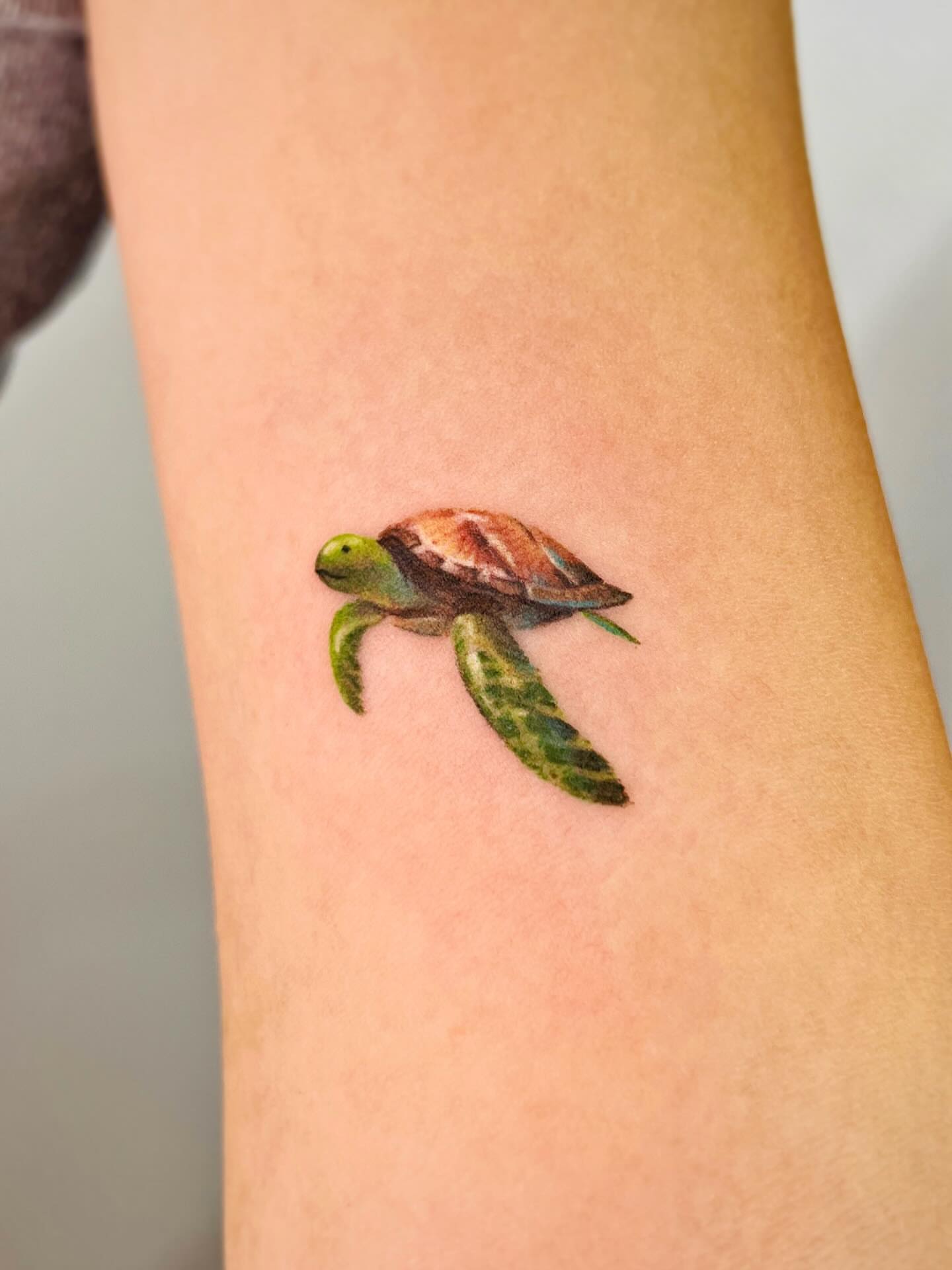 Sea turtle realism tattoo on the forearm by Purinn