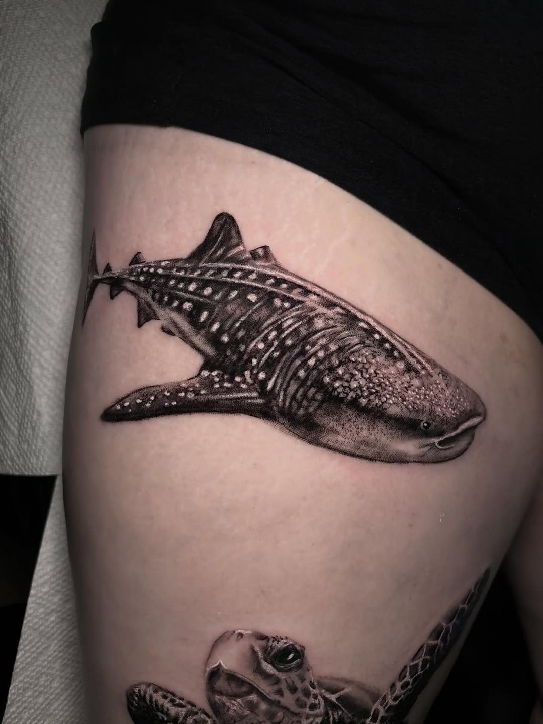 Whale shark and sea turtle fine line tattoo on the thigh by Ashley Denise