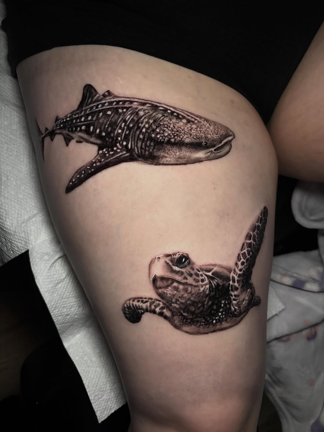 Whale shark and sea turtle fine line tattoo on the thigh by Ashley Denise