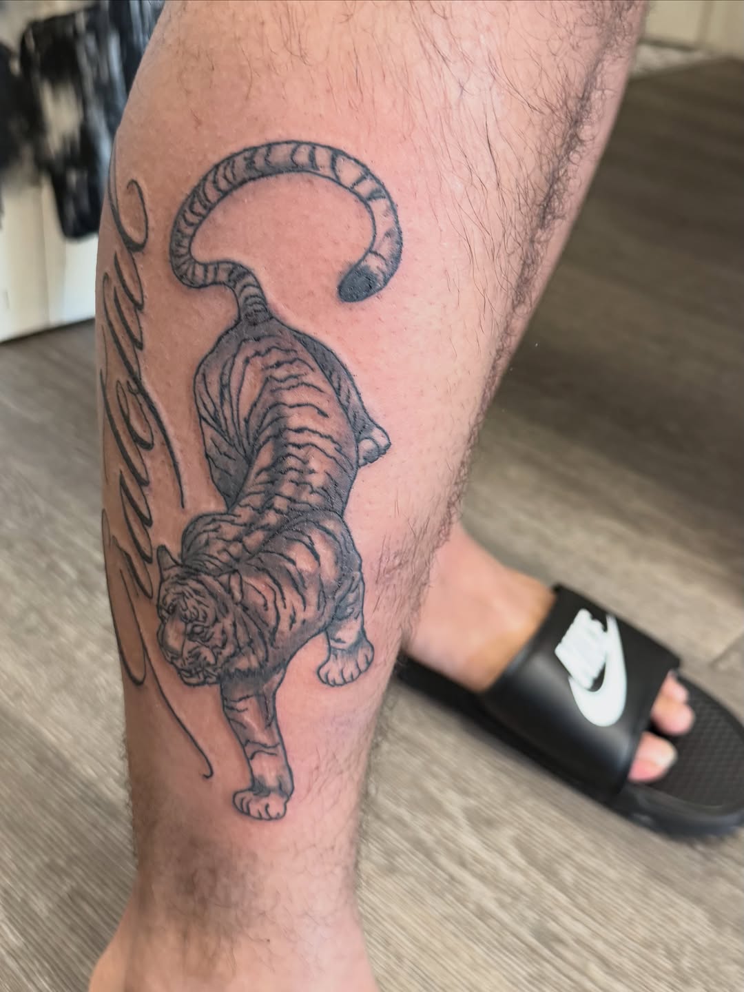 Tiger with lettering realism tattoo on the leg by Shine Jefferson, Memphis, Tennessee