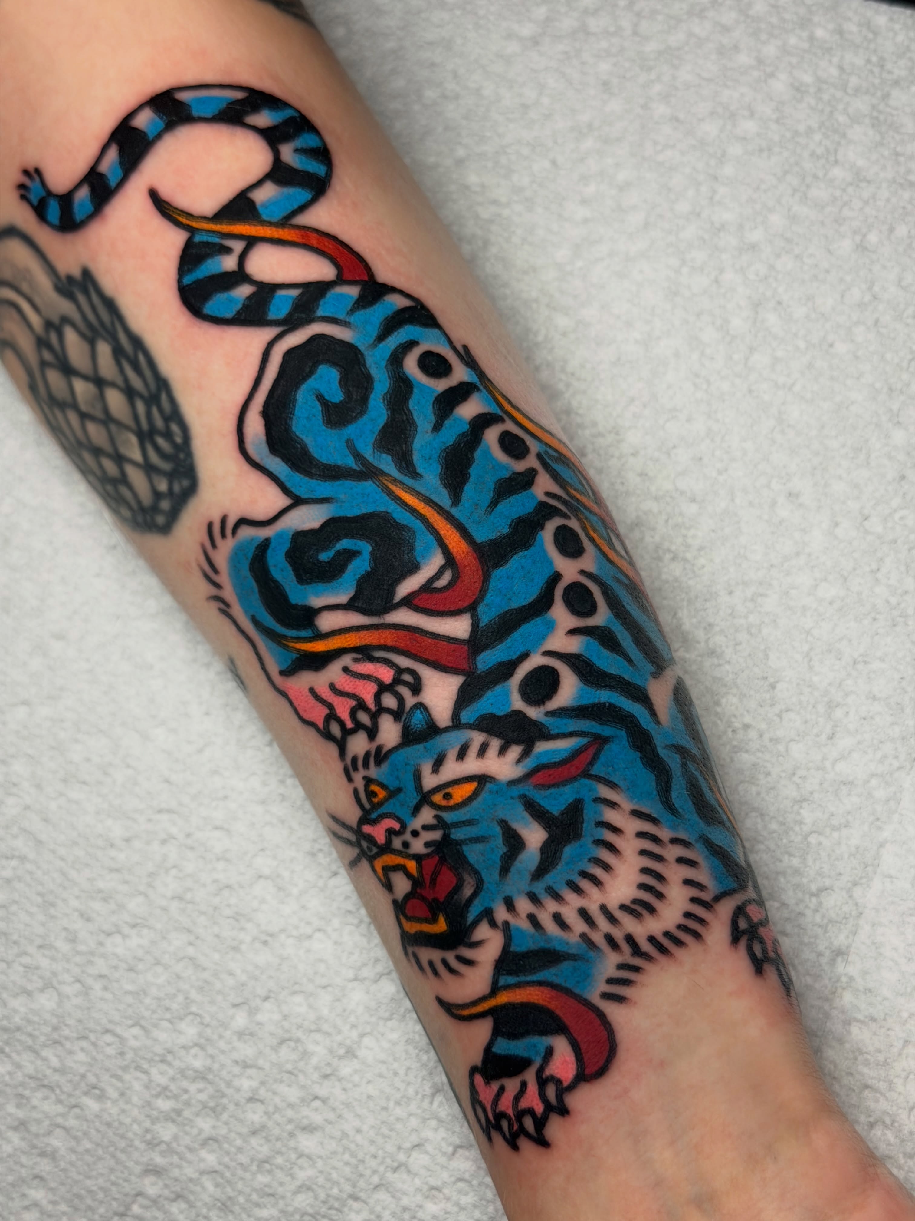 Tiger and snake American traditional tattoo on the forearm by Kyle Dean Traditional Tattoo Artist