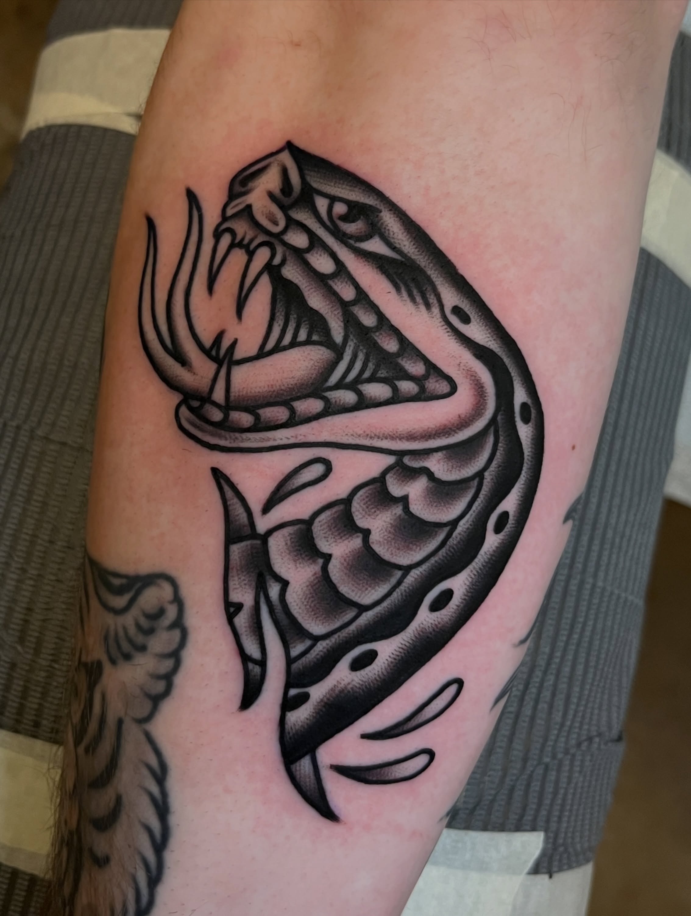 Tattoo by @anthony_tattooer — american_traditional