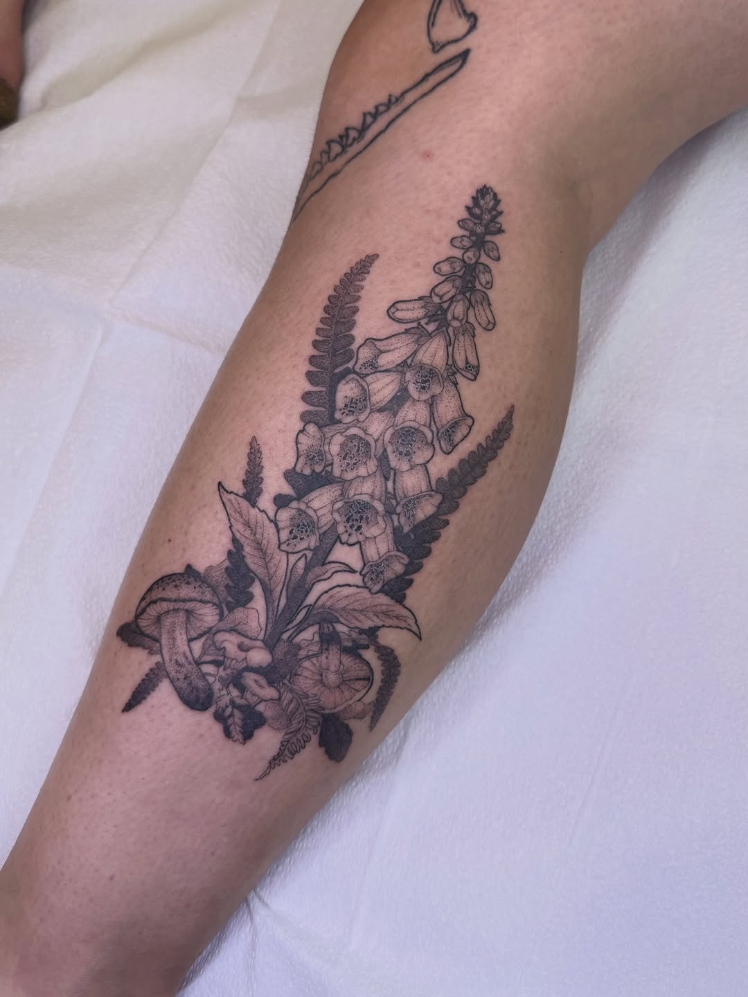 Tattoo by @jenaperrytattoos — black_and_grey, realism