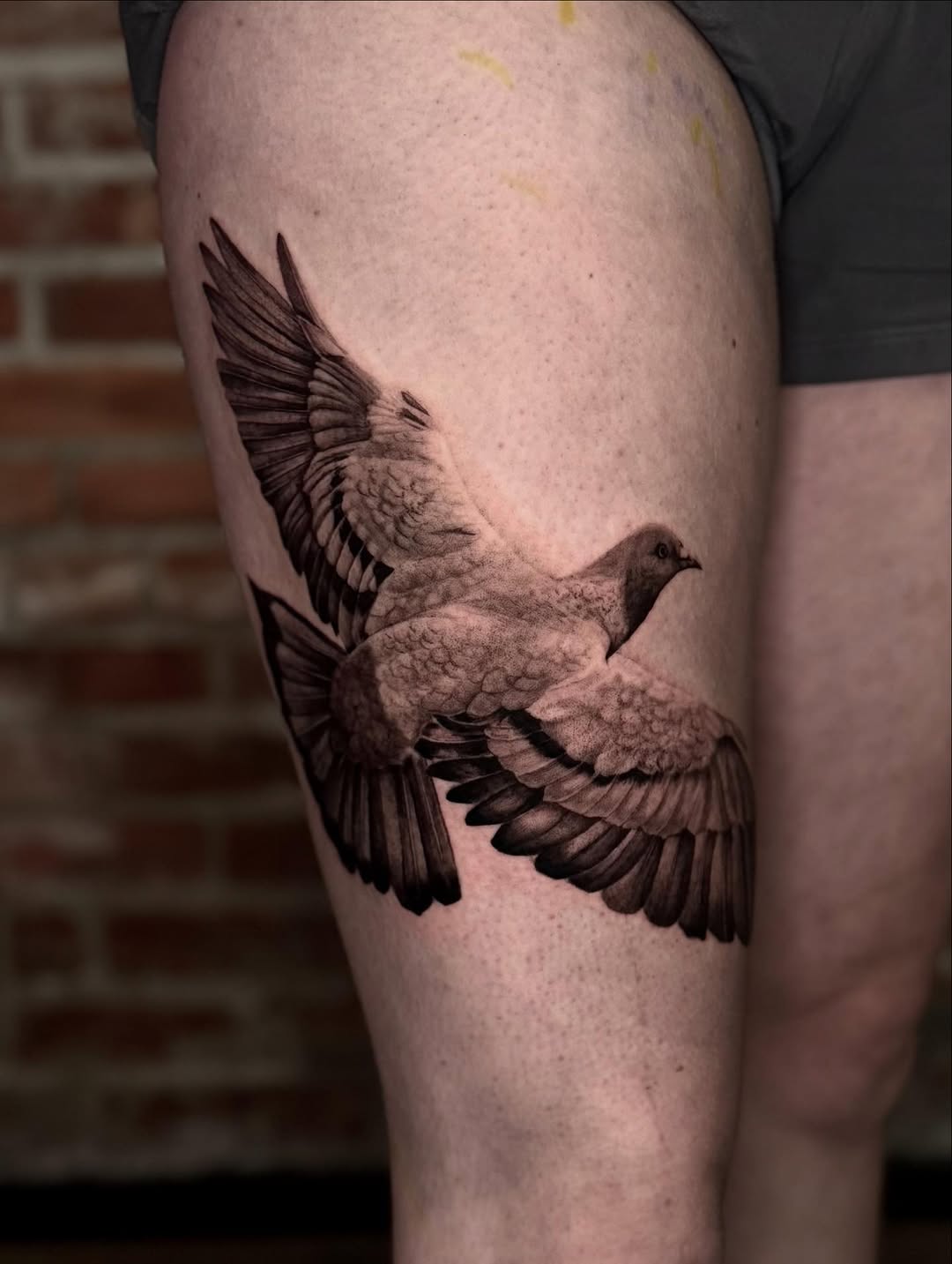 Pigeon in flight fine line tattoo on the thigh by Isabel Smith🦋🕷️