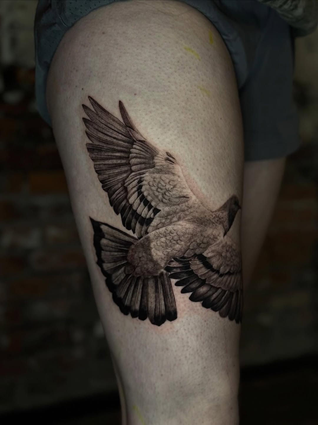 Pigeon in flight realism tattoo on the thigh by Isabel Smith🦋🕷️