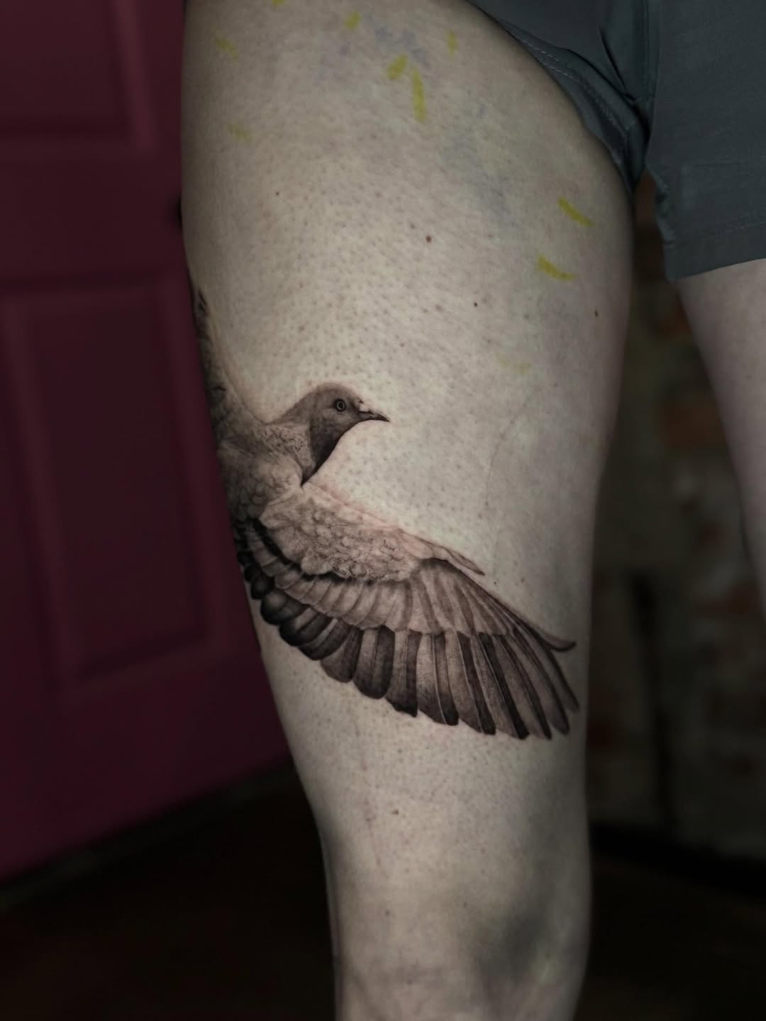 Dove in flight fine line tattoo on the thigh by Isabel Smith🦋🕷️