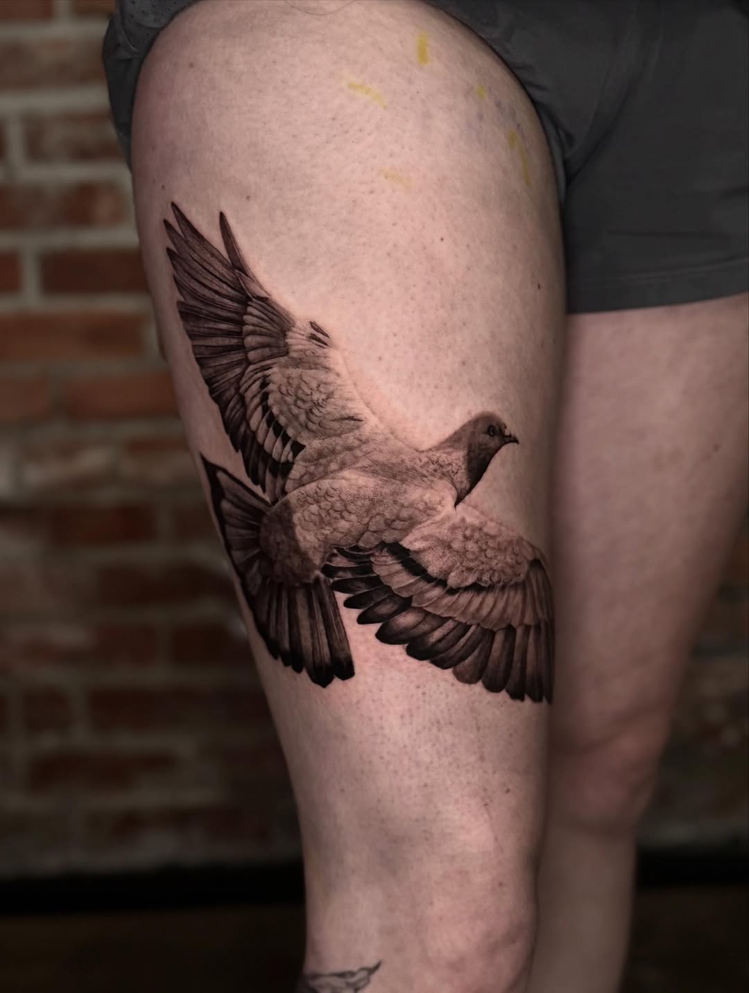 Pigeon in flight fine line tattoo on the thigh by Isabel Smith🦋🕷️