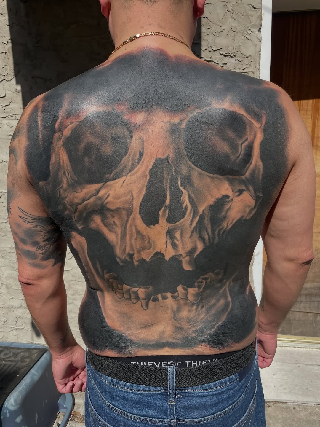 Skull back piece realism tattoo on the back by Tom Taylor, Philadelphia, Pennsylvania