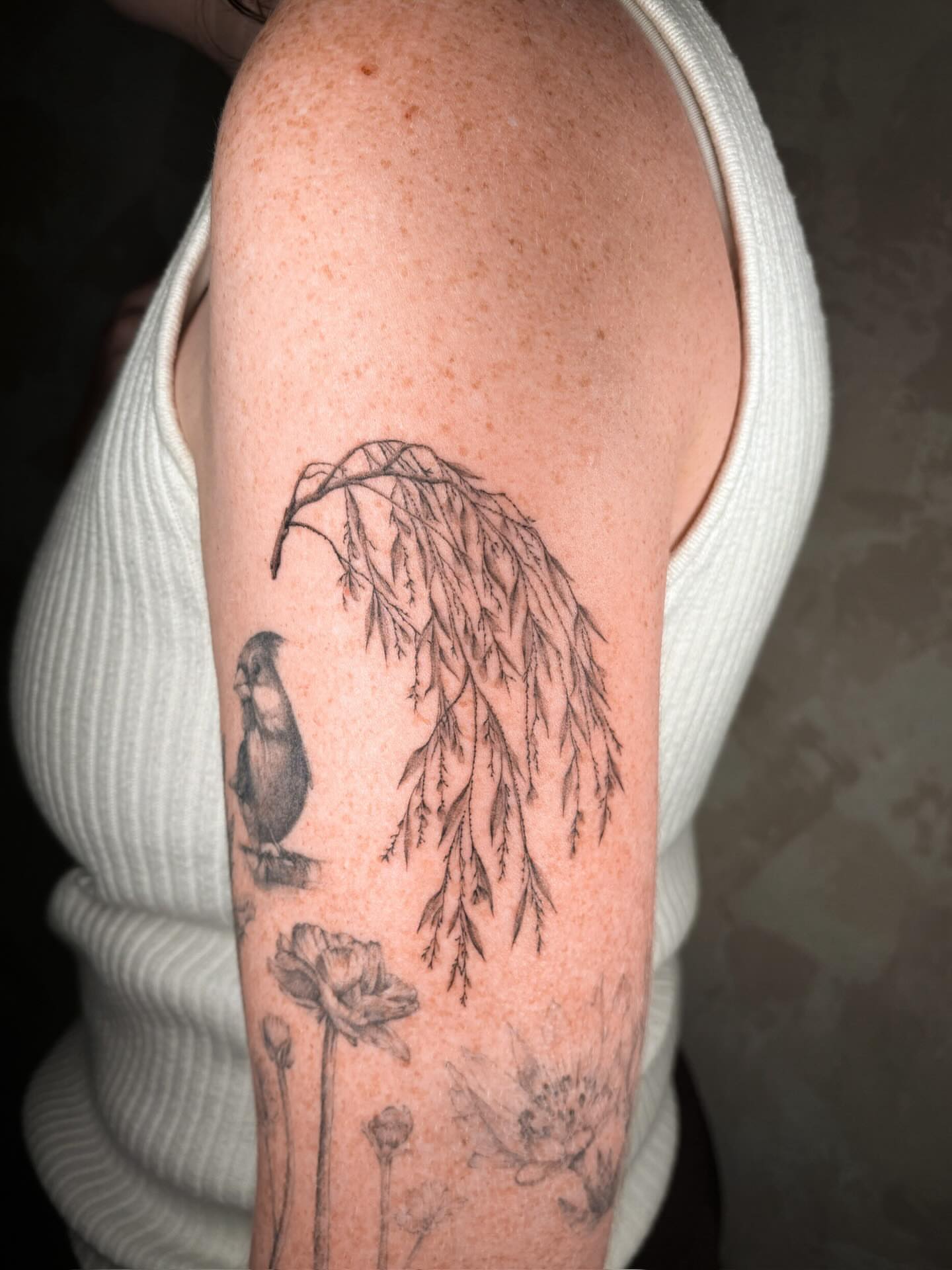 Bird and willow branch black and grey tattoo on the upper arm by Annie