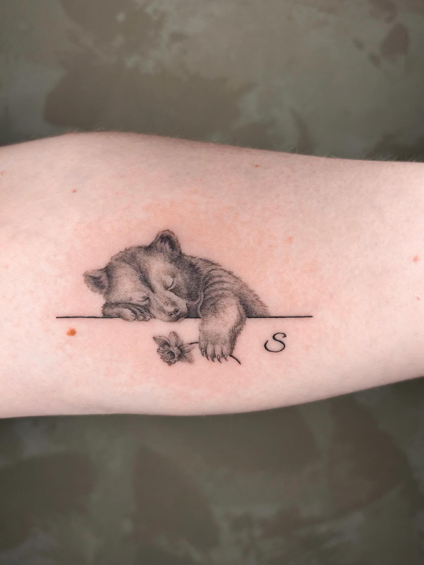 Sleeping bear cub realism tattoo on the forearm by Annie