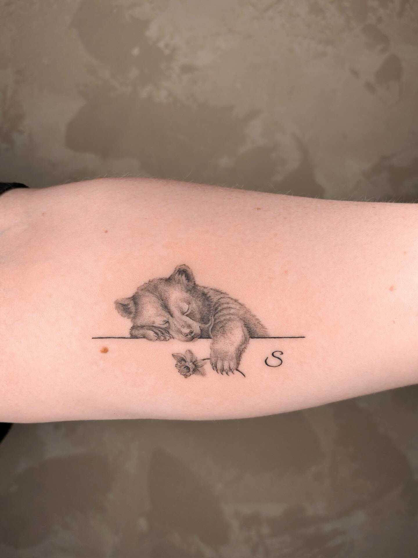 Sleeping bear realism tattoo on the forearm by Annie