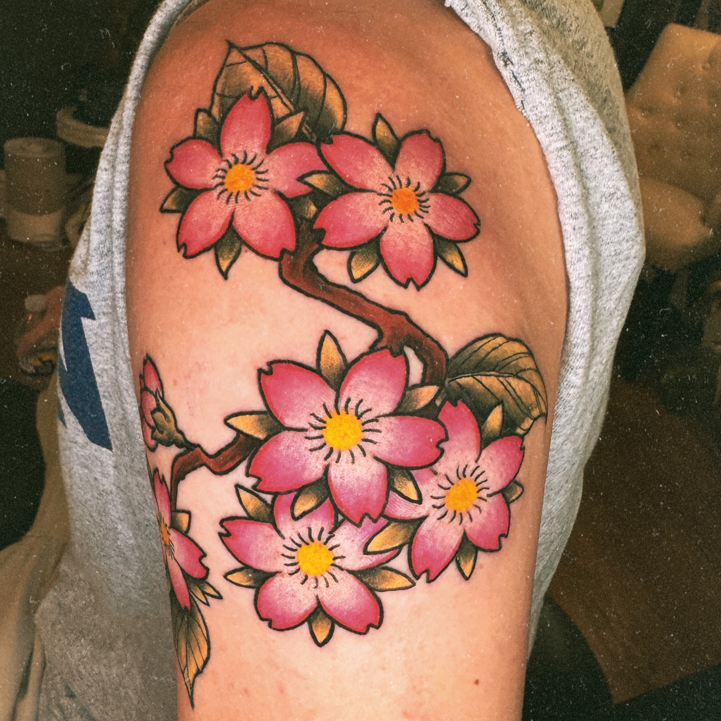 Cherry blossoms American traditional tattoo on the shoulder by Eric Burns - NoVA Tattoo Artist