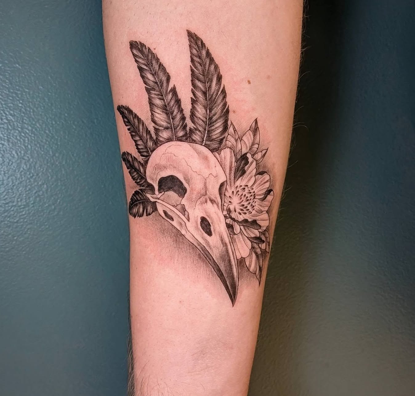 Skull and feathers realism tattoo on the forearm by L U C y, Knoxville, Tennessee
