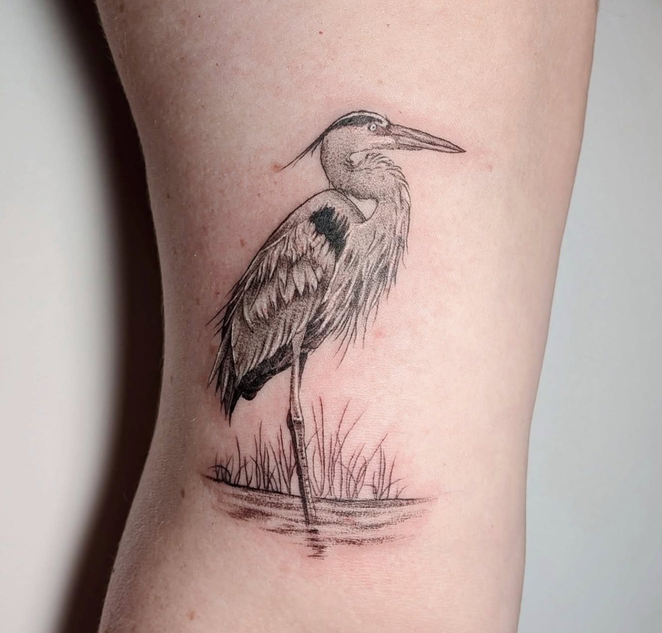 Heron realism tattoo on the thigh by L U C y, Knoxville, Tennessee