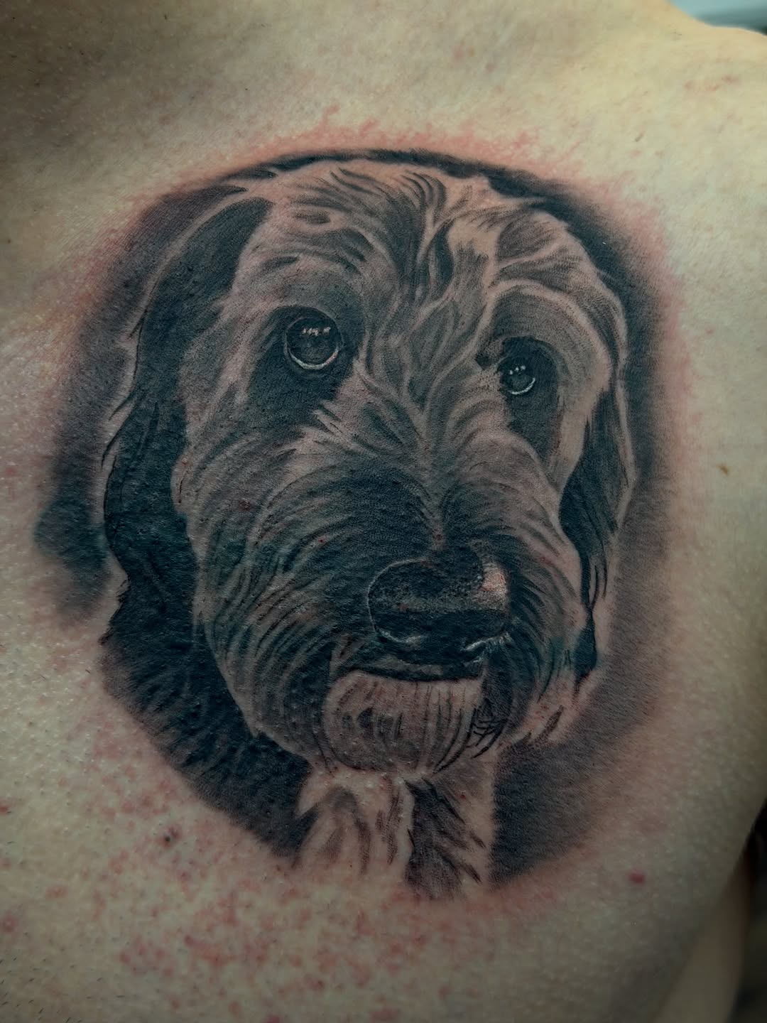 Tattoo by @ibleedink_tattoos — realism, black_and_grey