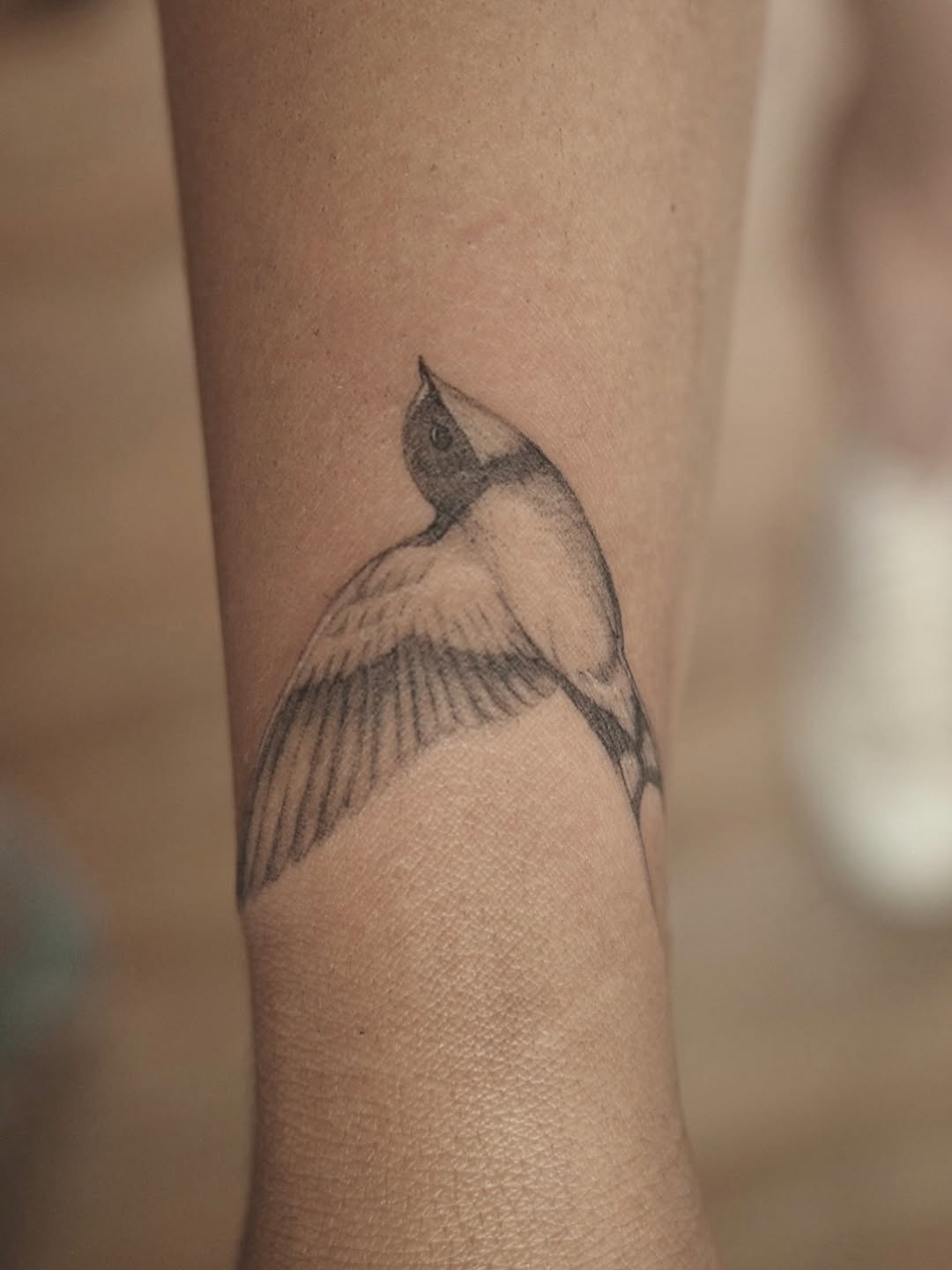 Bird in flight fine line tattoo on the forearm by It’s ya girl, KB