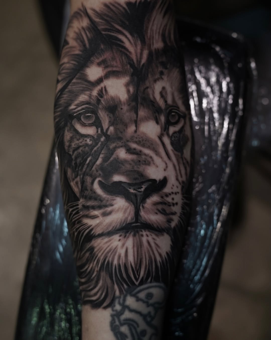 Lion portrait realism tattoo on the forearm by Travis